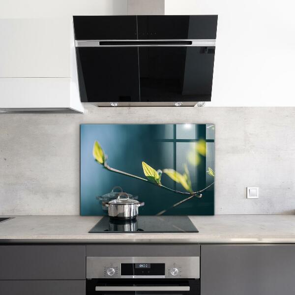 Stänkskydd kök Glänsande blad på gren