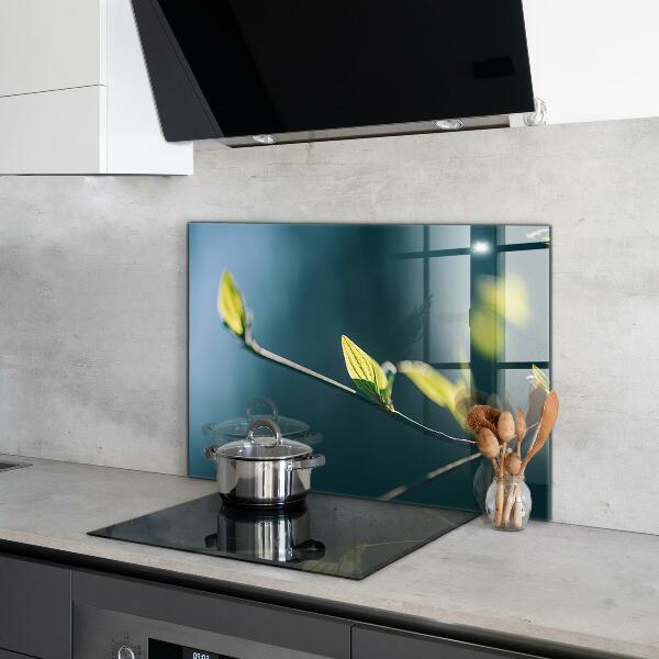 Stänkskydd kök Glänsande blad på gren