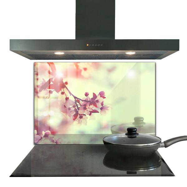 Stänkskydd kök Blommande rosa träd