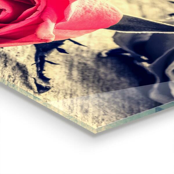 Stänkskydd kök Rose symbol för kärlek