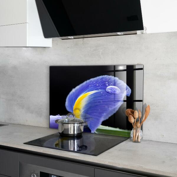 Stänkskydd kök Lila irisblomma