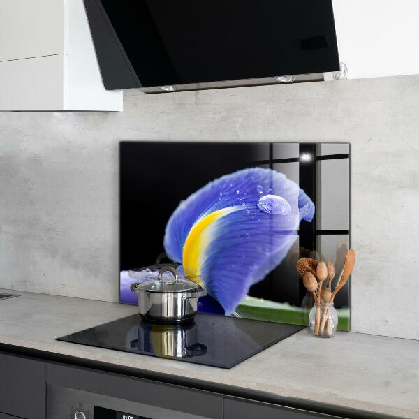 Stänkskydd kök Lila irisblomma