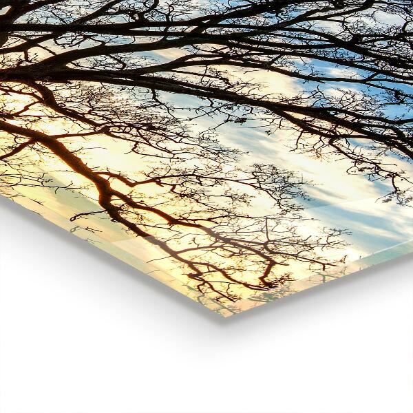 Stänkskydd kök Landskapsäng på morgonen