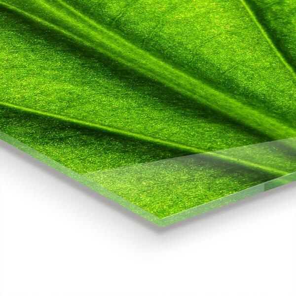 Stänkskydd kök Gröna blad detaljer