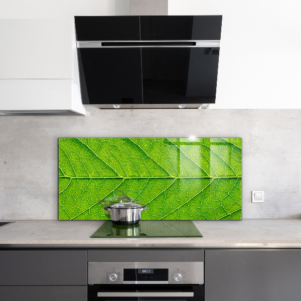 Stänkskydd kök Fina bladdetaljer