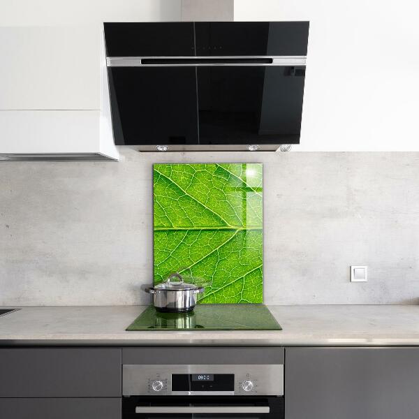 Stänkskydd kök Fina bladdetaljer