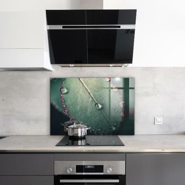 Stänkskydd kök Löv med daggdroppe