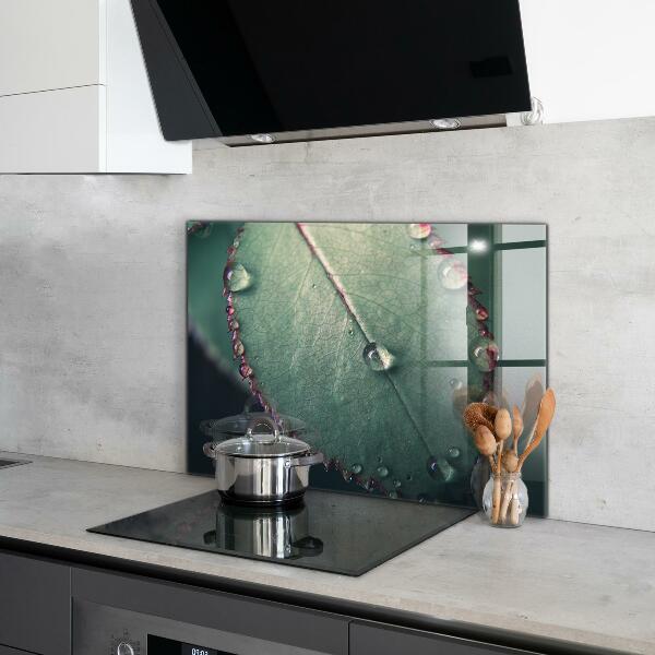 Stänkskydd kök Löv med daggdroppe