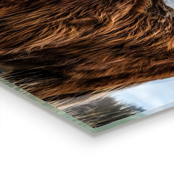 Stänkskydd kök Highland Boho ko