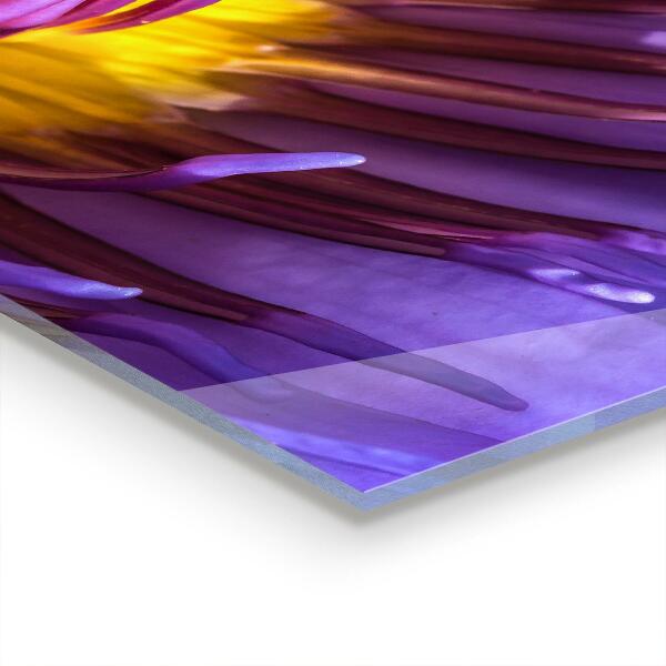 Stänkskydd kök Lila blomma detaljer