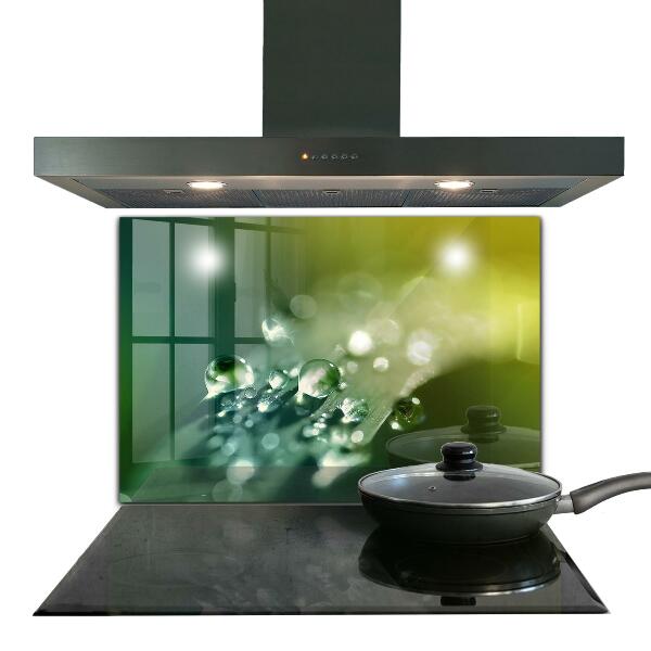 Stänkskydd kök Dagg på gröna löv