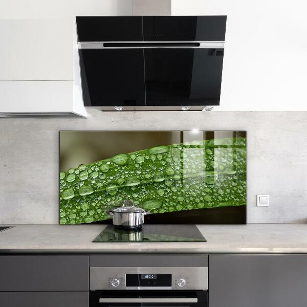 Stänkskydd kök Grönt blad efter regn