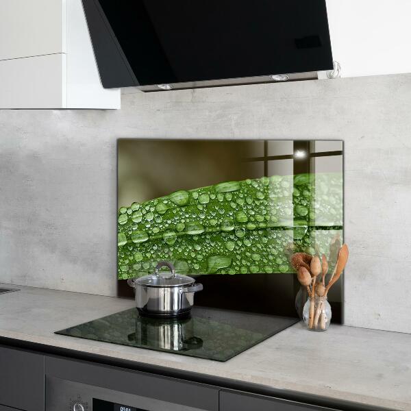 Stänkskydd kök Grönt blad efter regn