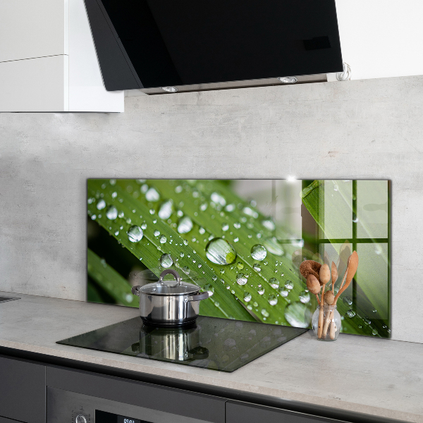 Stänkskydd kök Daggdroppar på gräset