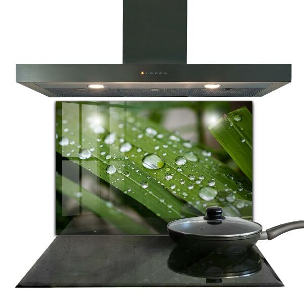 Stänkskydd kök Daggdroppar på gräset