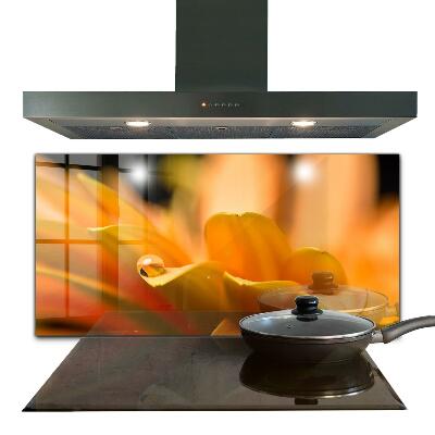 Stänkskydd kök Gerber blomma