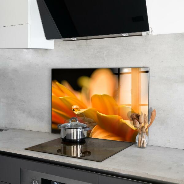 Stänkskydd kök Gerber blomma