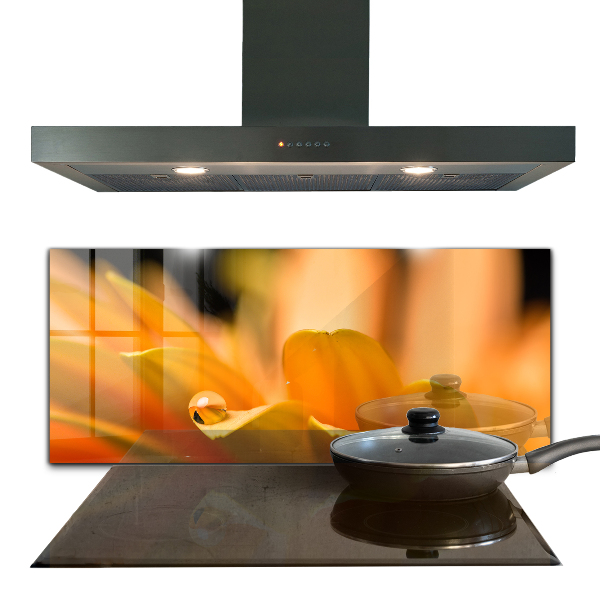 Stänkskydd kök Gerber blomma