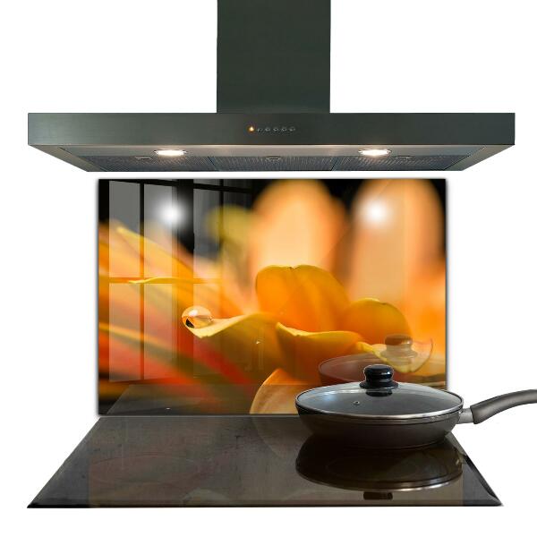 Stänkskydd kök Gerber blomma