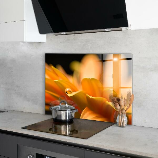 Stänkskydd kök Gerber blomma