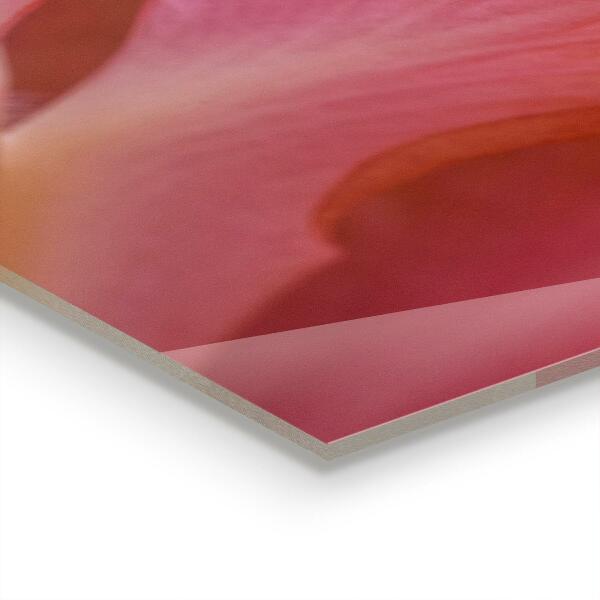 Stänkskydd kök Blomma Pollen Natur