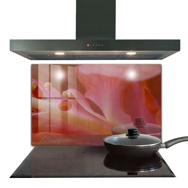 Stänkskydd kök Blomma Pollen Natur