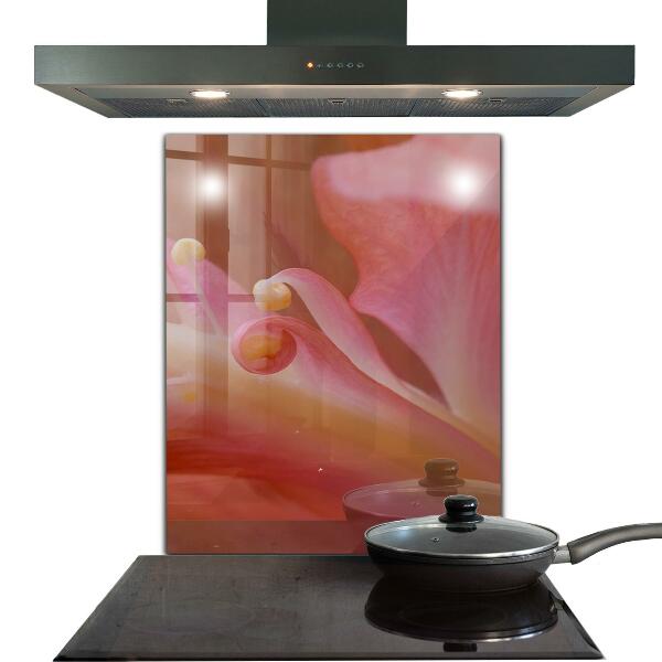 Stänkskydd kök Blomma Pollen Natur