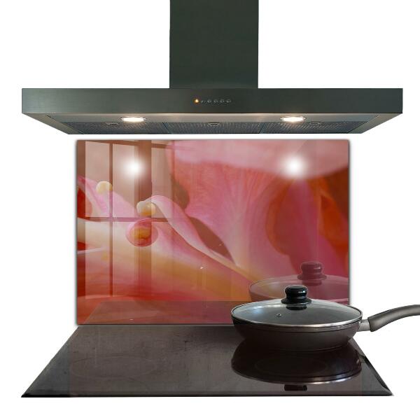 Stänkskydd kök Blomma Pollen Natur