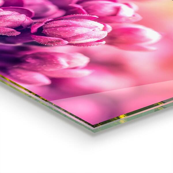 Stänkskydd kök Rosa liljor naturlig skönhet