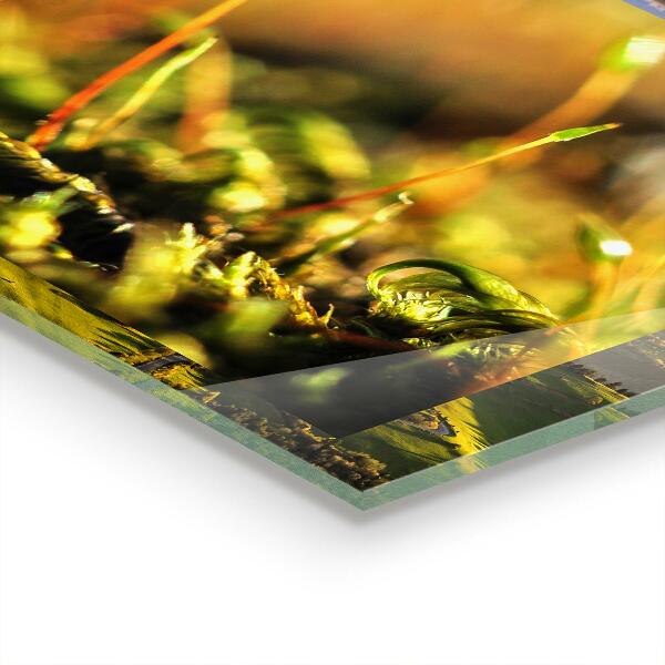 Stänkskydd kök Forest Moss Detaljer