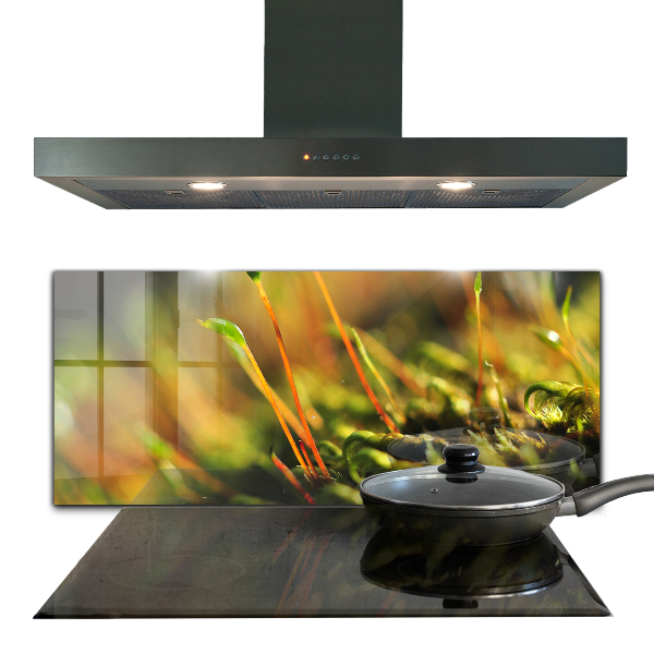 Stänkskydd kök Forest Moss Detaljer