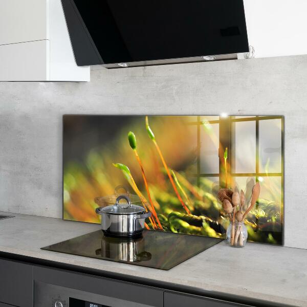 Stänkskydd kök Forest Moss Detaljer