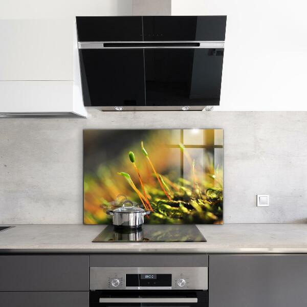 Stänkskydd kök Forest Moss Detaljer