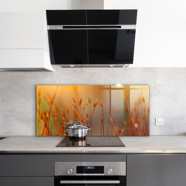 Stänkskydd kök Kornfält vid solnedgången