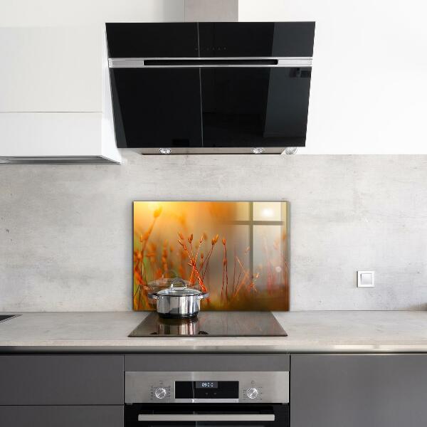 Stänkskydd kök Kornfält vid solnedgången