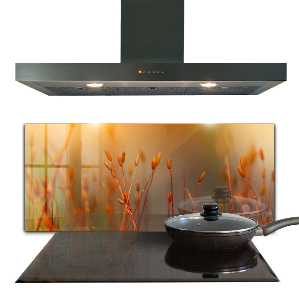 Stänkskydd kök Kornfält vid solnedgången