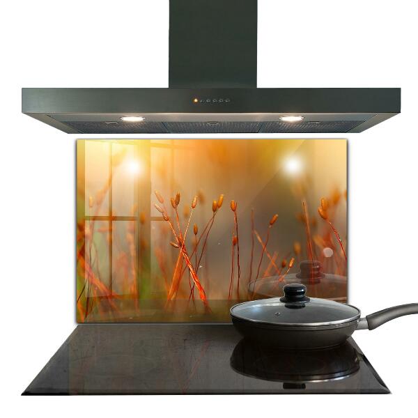 Stänkskydd kök Kornfält vid solnedgången