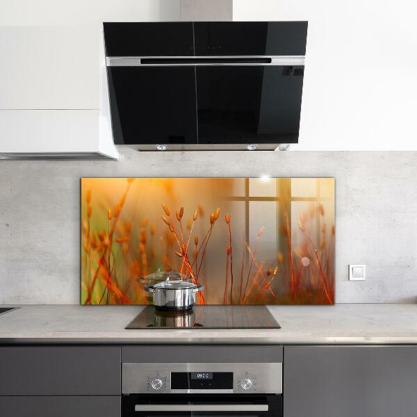 Stänkskydd kök Kornfält vid solnedgången