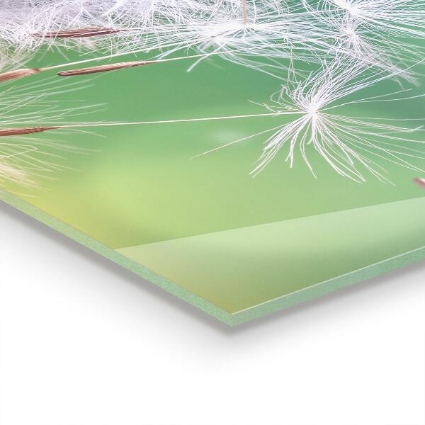 Stänkskydd kök Maskros Maskros i vinden