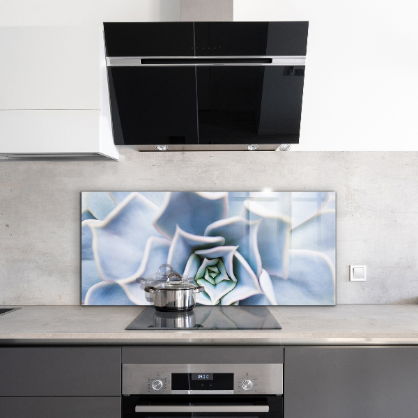 Stänkskydd kök Kaktus Suckulent