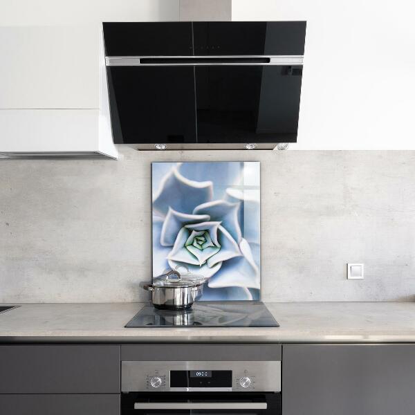 Stänkskydd kök Kaktus Suckulent