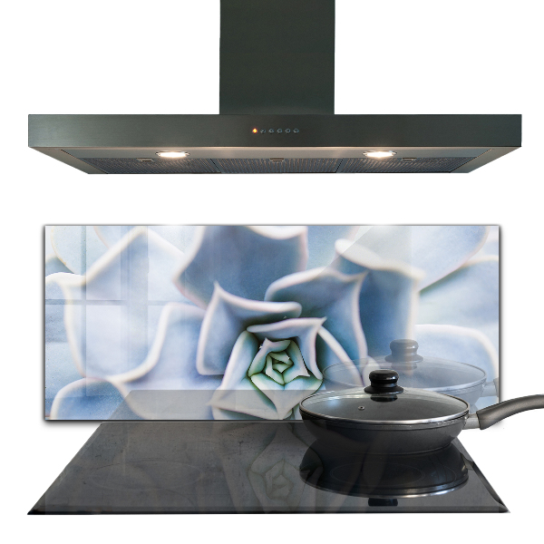 Stänkskydd kök Kaktus Suckulent