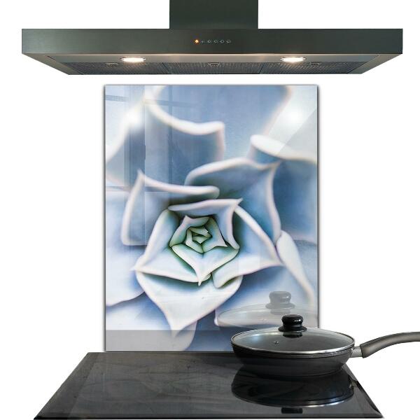 Stänkskydd kök Kaktus Suckulent