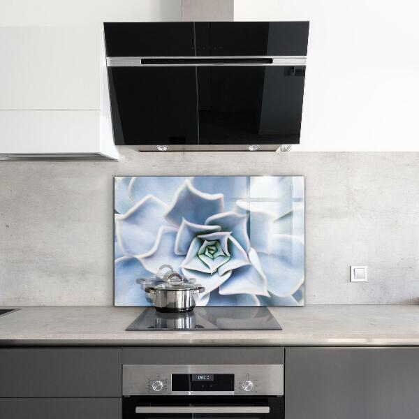 Stänkskydd kök Kaktus Suckulent