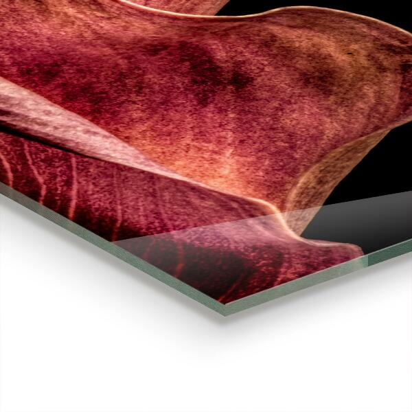 Stänkskydd kök Elegant delikat blad