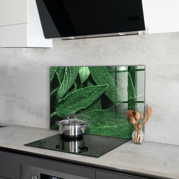 Stänkskydd kök Gröna blad efter regn