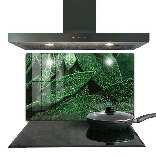 Stänkskydd kök Gröna blad efter regn