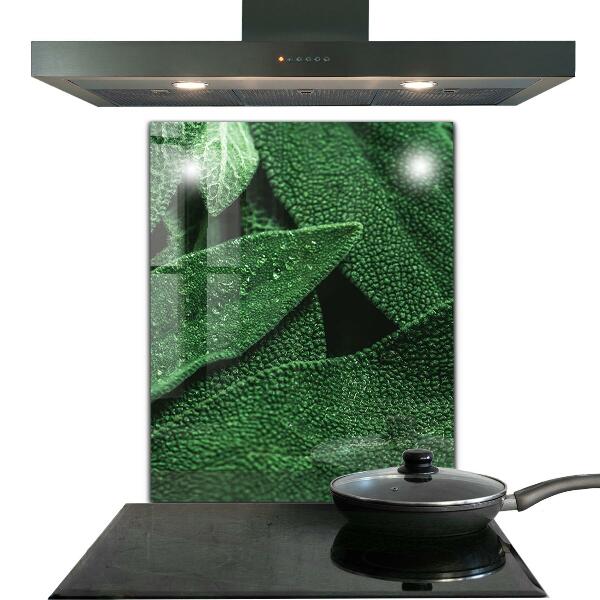 Stänkskydd kök Gröna blad efter regn