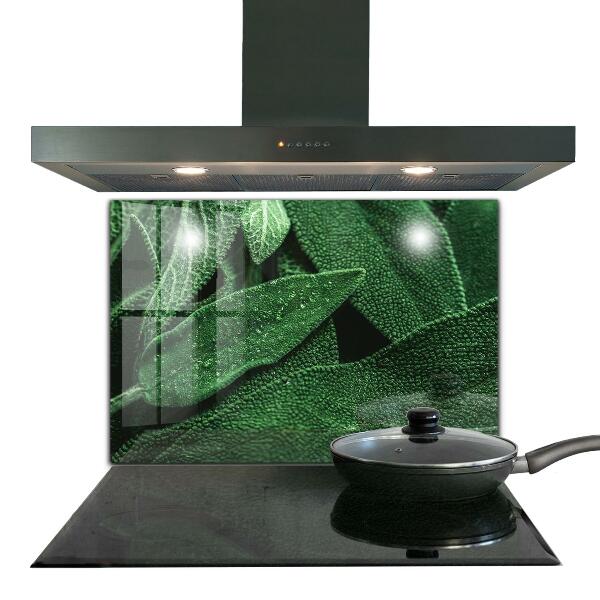 Stänkskydd kök Gröna blad efter regn