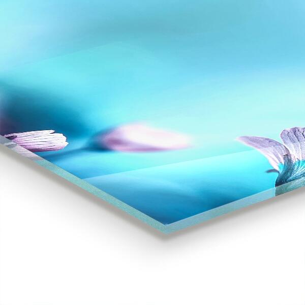 Stänkskydd kök Blommor bakom morgondimman